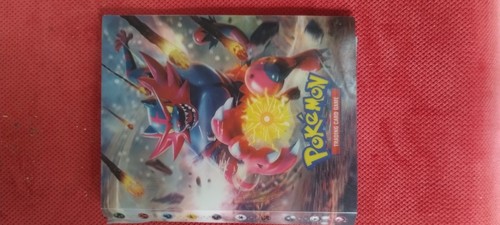 Raccoglitore pokemon